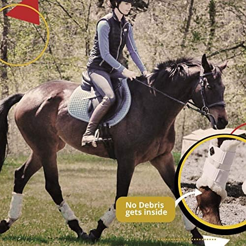 Обувки за обездка коне Kavallerie: Обувки от изкуствена кожа с подплата отвътре за тренировки, хмел, конна езда, състезания