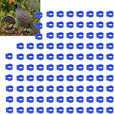 XPSSJMU Птици Пиле Пъдпъдъци, Гълъби, Пръстени за краката на Гълъбите 100ШТ 8 мм Идентификационни Пръстени За краката на Гълъбите