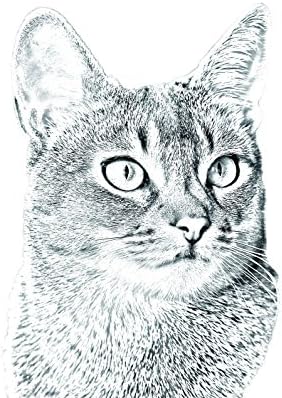 Арт Дог Оод. Абиссинское, Овално надгробен камък от керамични плочки с Изображение на котка