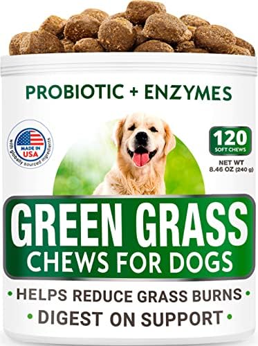 Напълно натурална билкова обработка на клъстера кучешки - Лакомства за възстановяване на трева за кучета - Дъвка за възстановяване