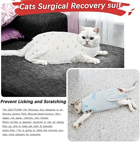DENTRUN Костюм за възстановяване след Кастрация от Вылизывания котки, Алтернативна Риза за Възстановяване След операция с Впръскване