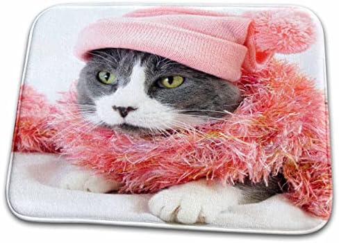 3dRose Смешно Котка в Розова дрехи Хладно Коте За домашен любимец - Подложки За сушене на чинии (ddm-254194-1)
