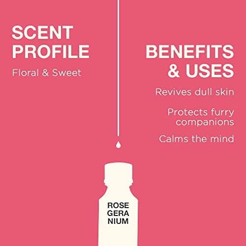 Набор от масла, Розова здравец за кожата и Чаено дърво за кожата - Набор от Етерични масла Натурален Терапевтичен клас
