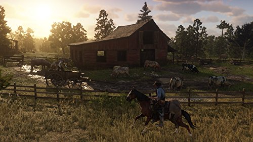 Red Dead Redemption 2, за Playstation 4
