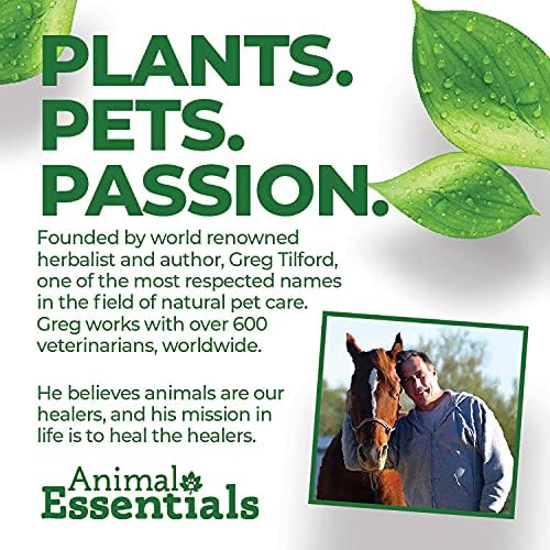 Animal Essentials Здравословен грижа за венците за Кучета и котки, 1 ет. унция - Естествена подкрепа за поддържане на здравето