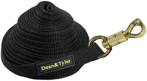 Двуслойни Найлонов каишка за кучета Dean and Tyler DT Track, черен, 15 фута на 3/4 Инча, с защелкивающимся на една кука Smart