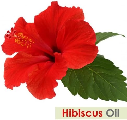 Етерично масло от хибискус (Hibiscus sabdariffa L) Чисто и Натурално Неразбавленное Нерафинирано Неразрезанное Стандартно Органично