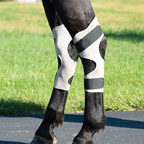 Тайна от Текстилна кожата CoolAid за Размразяване на коне и Охлаждане на Скакателните стави