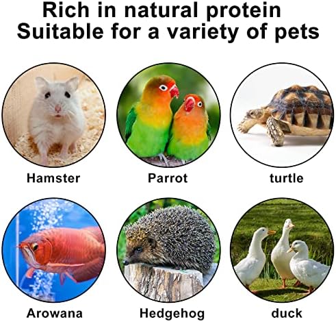 RANZ 10 ПАУНДА Изсушени тестени червеи без ГМО, с високо съдържание на протеин, за пилета, диви птици, патици, Гущери, Хамстери,