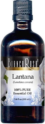 Чисто етерично масло Lantana (3,40 унция, ZIN: 305600) - 3 опаковки