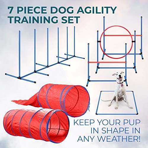 Луксозен комплект оборудване за тренировка Подвижност за кучета CHEERING ПЕТ, 2 Подскача за кучета, Преодоляване на препятствия, Сляп и Стандартен
