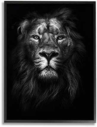 Stupell Industries Цар на джунглата Лъв в сянка Бяла Фотография на Стенно изкуство в черна рамка, 24 x 30, Многоцветен