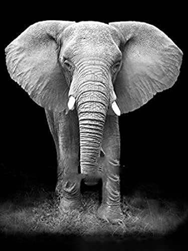 Направи си САМ Paint by Numbers за Начинаещи Възрастни 5D Карикатура Слон Диамантена Живопис Животно Слонът е Диамантена Бродерия на