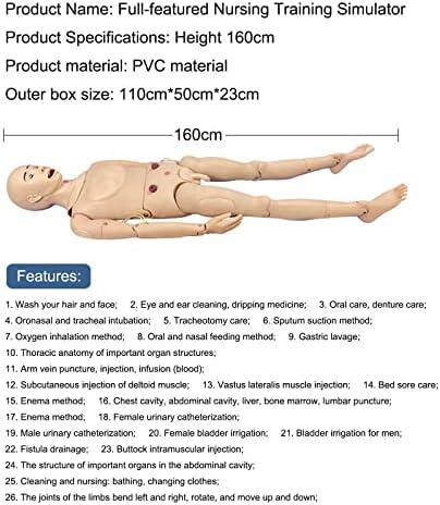 Учебен Модел на Манекен Травматологическая Модел на Манекен, за да се грижи за Болни PVC Манекени за обучение, училище за сестрински