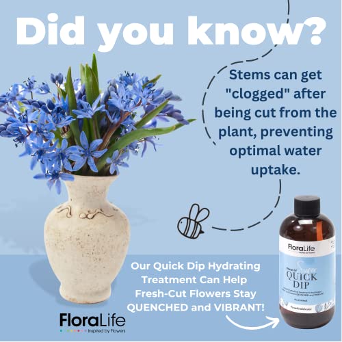 Бързосъхнеща Хидратиращ процедура FloraLife за свежи рязани цветя и Букети - Аксесоари за цветя (8 унция)
