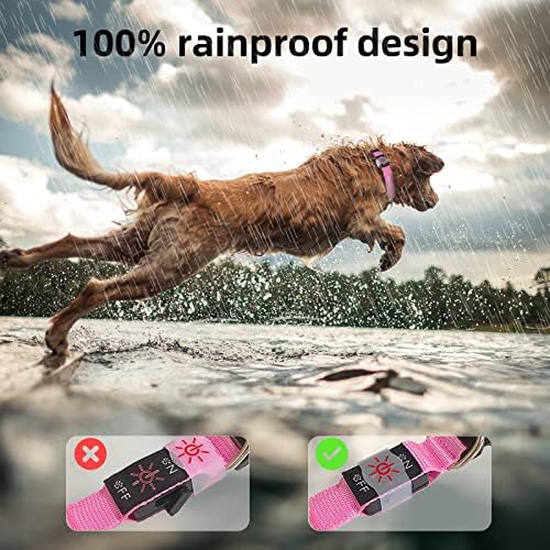 Led яка Blahhey за кучета, Регулируем светлинен нашийник за кучета, Водоустойчив, която се презарежда чрез USB, 5 цвята и 3 размера