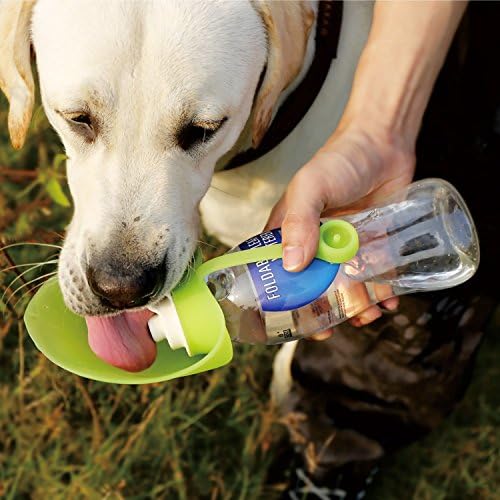 Преносима бутилка за вода RUSSELL за домашни любимци, Обратими и лек Пътен Диспенсер за вода за кучета или Котки, Изработени от Хранително-силикон, 20 унции (зелен)