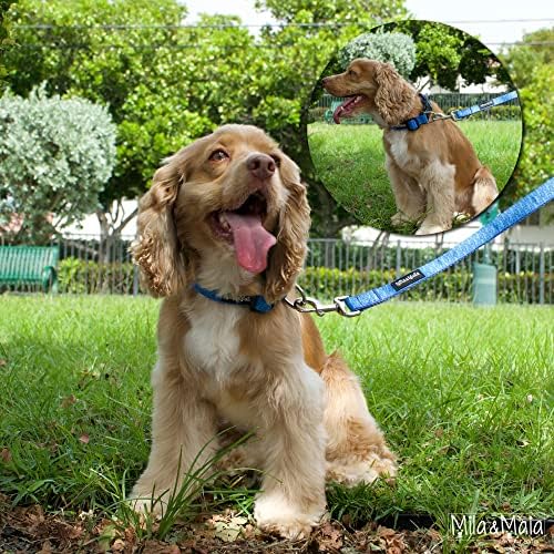 Набор от греди и каишки за кучета Mila & Maia, подходящ нашийник и повод за средни кучета, светло синьо, Включва опаковка и държач
