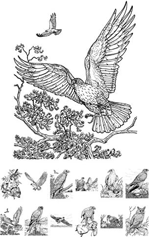 За награда-книжка за оцветяване за възрастни (24 страници 6 x8) Хищни птици ФЛОНЗ Ретро дизайн