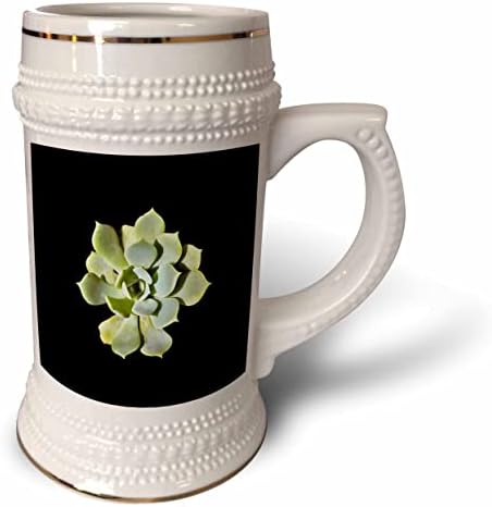 3. Вырезанное градинско растение Эхеверия суккулентная - 22 грама в стъклена чаша (stn-364739-1)