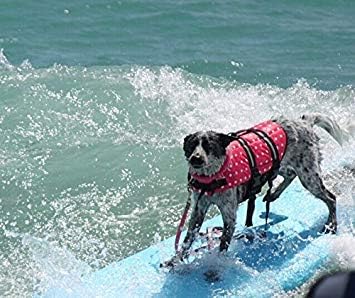 TESOON Pet Dog Preserver Спасителна Жилетка, Яке За Водни Плуване Камуфлаж Вода Сигурност