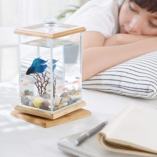 UXZDX Стъклен мини настолен аквариум за риби в хола, малко бюро, творчески мързелив екологичен пейзаж за аквариум