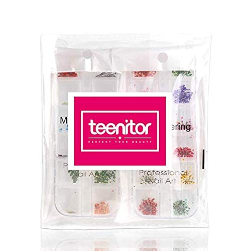 Teenior 24 Цвят Сушени Цветя за нокти, 3d Стикер за Дизайн на ноктите, за Върховете на Ноктите Декор Смесени Аксесоари, Междузвездни Листа