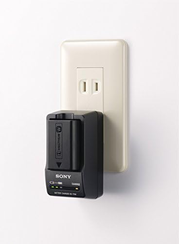 Зарядно устройство на Sony BC-TRW серия W