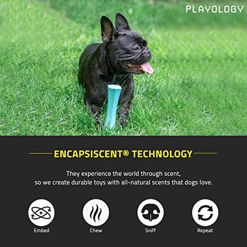 Играчка за кучета Playology с писклявой дъвченето на пръчка, за средни и големи кучета (15-35 кг.) - за тези, които обичат да дъвчат умерено - Атрактивна играчка с аромат на и?