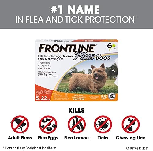 Frontline Плюс за кучета Малко куче (5-22 кг) Средство за защита от бълхи и кърлежи, 6 Дози