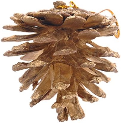 PRETYZOOM Коледно Дърво, Декоративна Коледна Украса От Естествени борови пъпки с борови орехче - 9 бр./компл. (Златен) Подарък, за партита