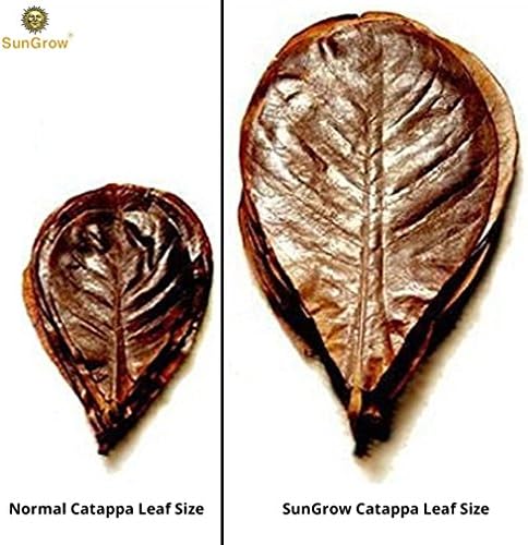 Листа от индийски бадем SunGrow Catappa за аквариуми със скариди, листата са с дължина 4-7 см (10 бр), намаляват нивото
