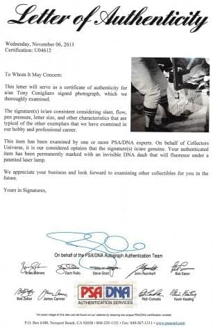 Ред Сокс Тони Конильяро Подписа черно-бяла снимка 11x14 PSA / DNA U04612 - Снимки на MLB с автограф