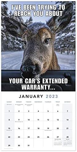 Месечен Стенен календар 2023 Animal Memes, 16 месеца, 12 x 12 (LME3101023)
